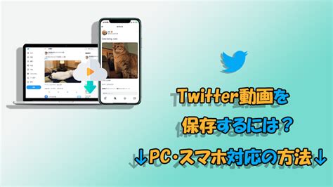 ツイッター動画保存方法|Twitter動画を保存・ダウンロードする方法（PC/Andro…